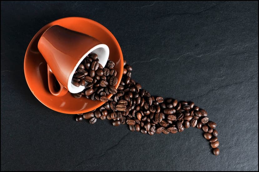 Café Orgánico